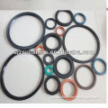 oil seal spring with competitive price